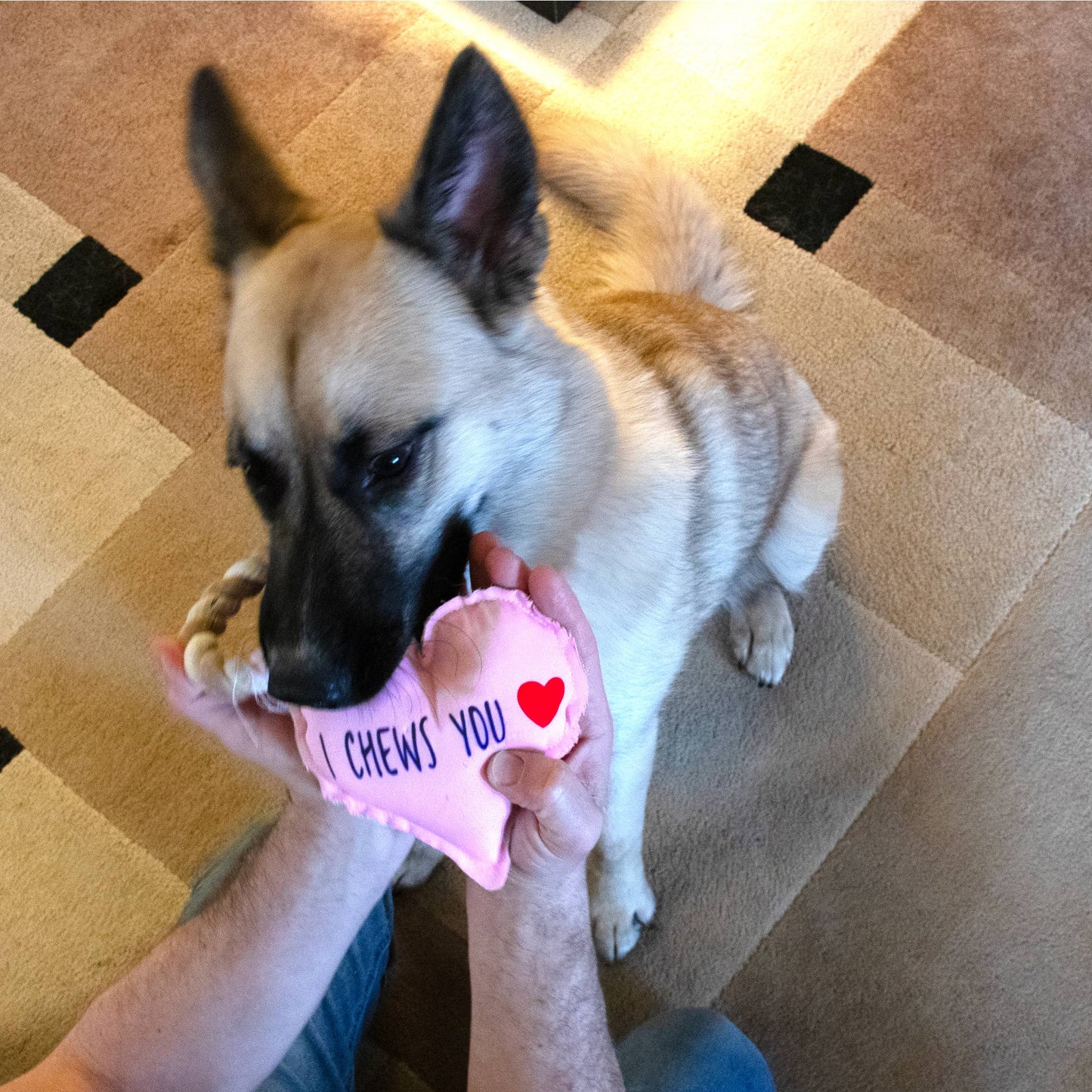 I Chews You - Canvas Dog Toy on a Rope