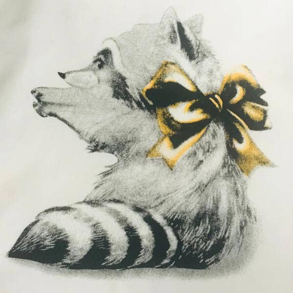 Sweet Raccoon Print Top
