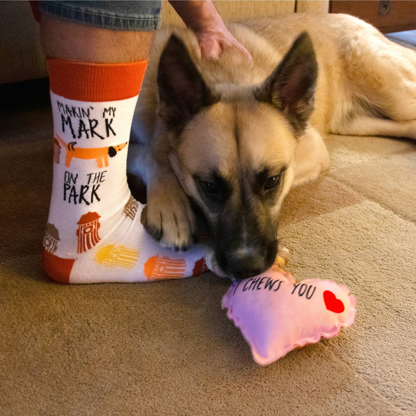 I Chews You - Canvas Dog Toy on a Rope