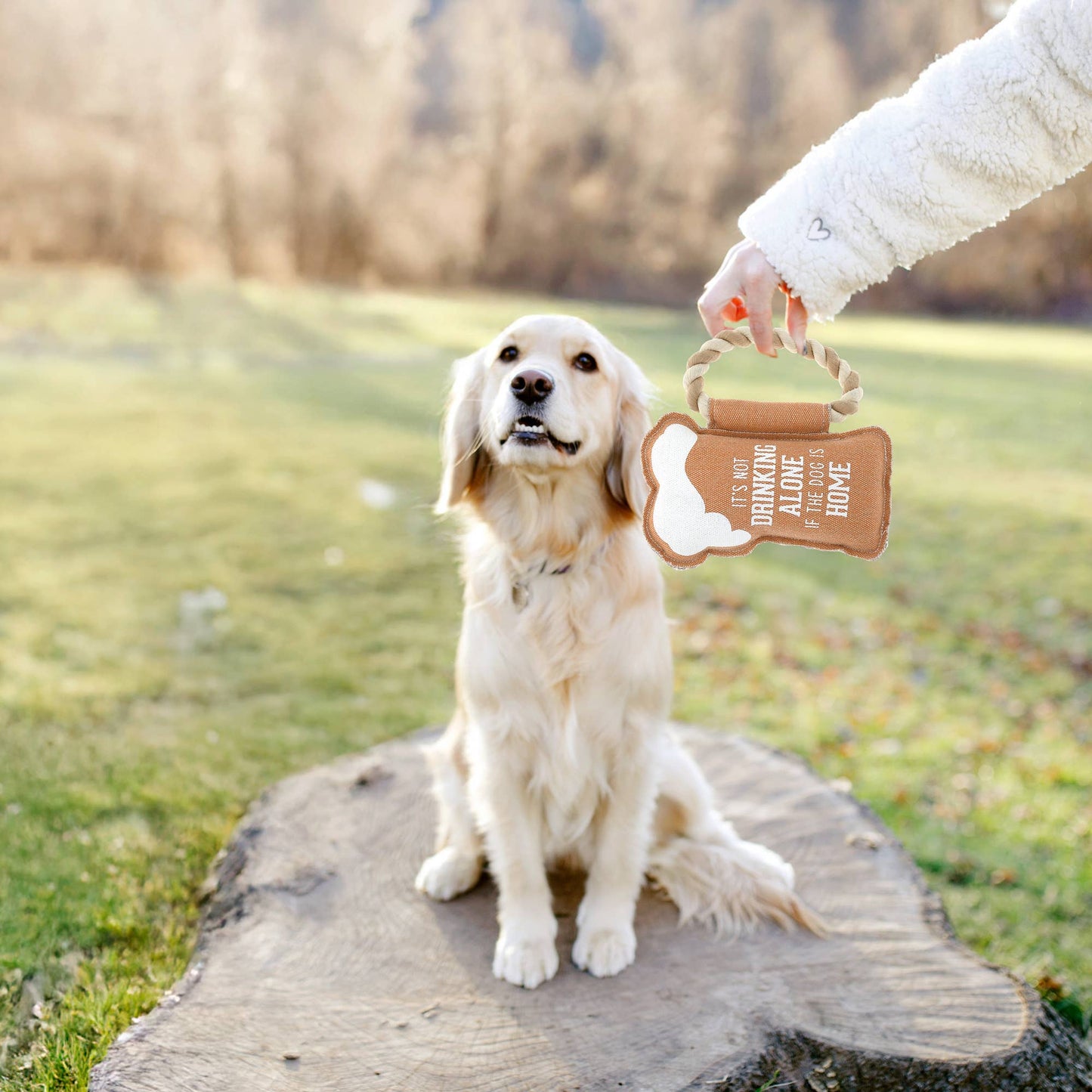 Dog Is Home - 8" Canvas Dog Toy on Rope
