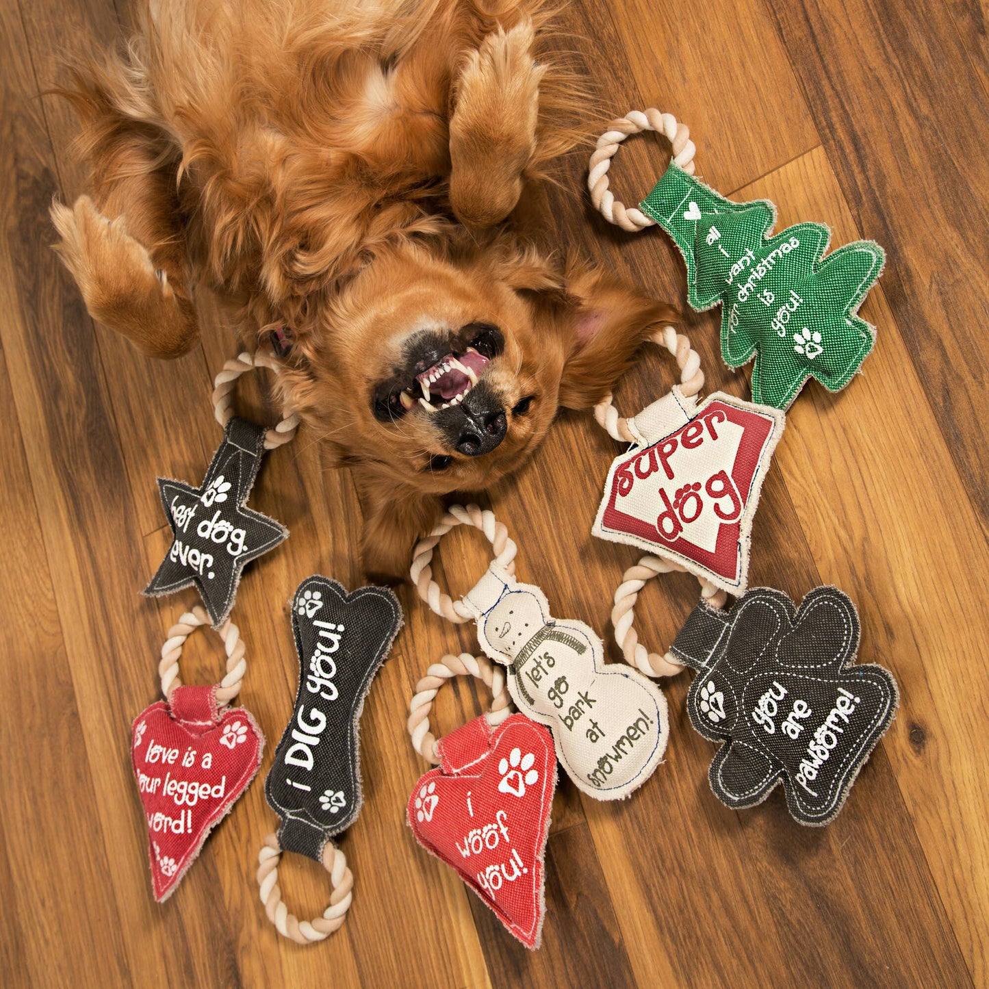 Best Dog Ever - 9.5" Canvas Dog Toy on Rope