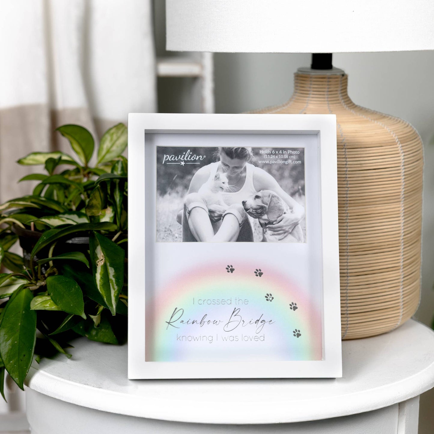 Rainbow Bridge 7.5" x 9.5" Shadow Box Frame (6" x 4" Photo)