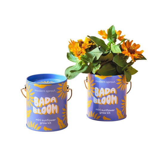Mini Sunflower Grow Kit|5742