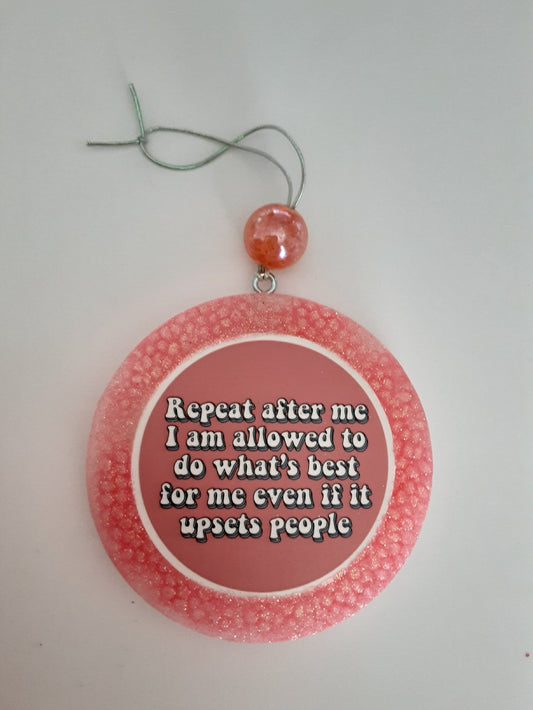 CAR FRESHIE-UPSETS PEOPLE|3346