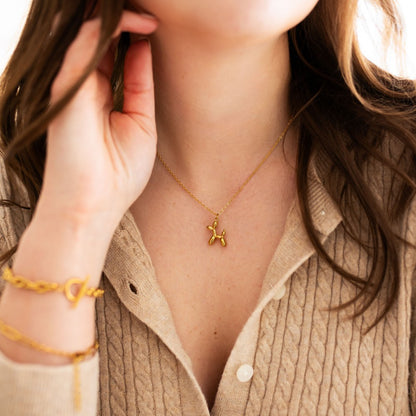 Hooper Balloon Dog Necklace|1295