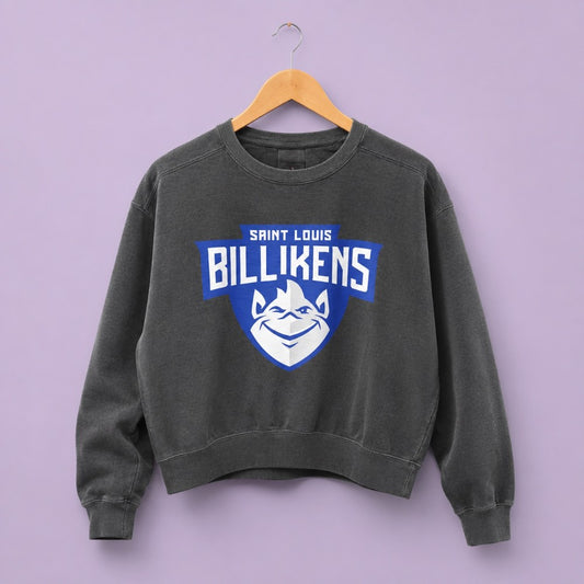 Billikens Boxy Crew|8060