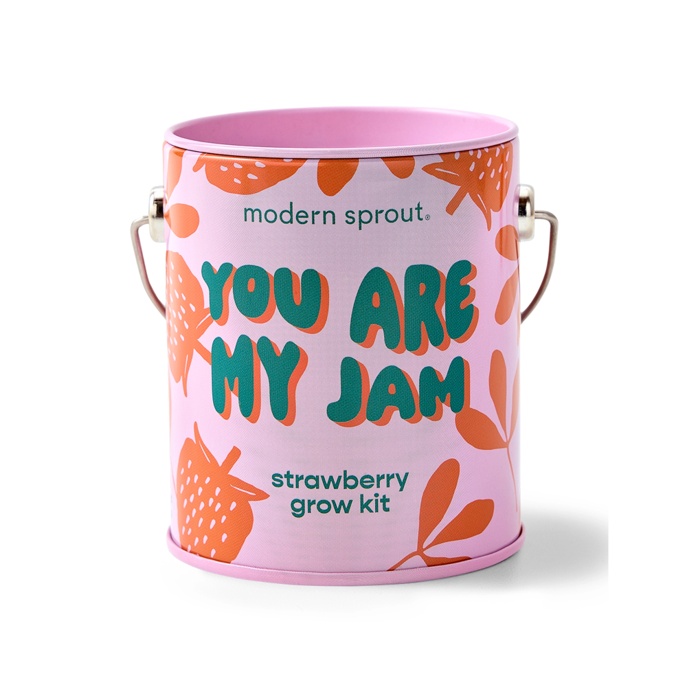 Strawberry Grow Kit|5743