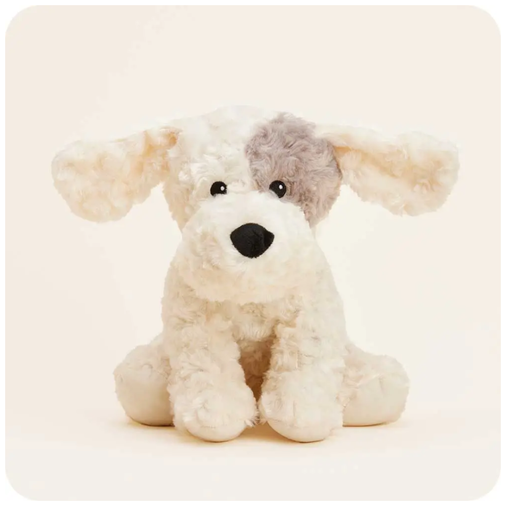 Patch Curly Dog Warmies|4324