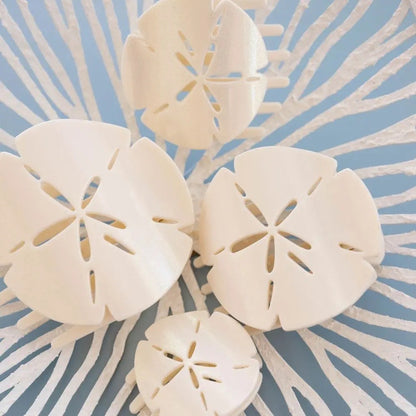 Sand Dollar | Medium | Flat Shape Hair Clip|8414