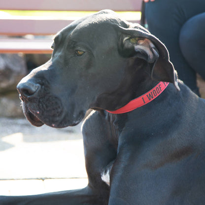 L/XL Woof - 30" PU Leather Pet Collar