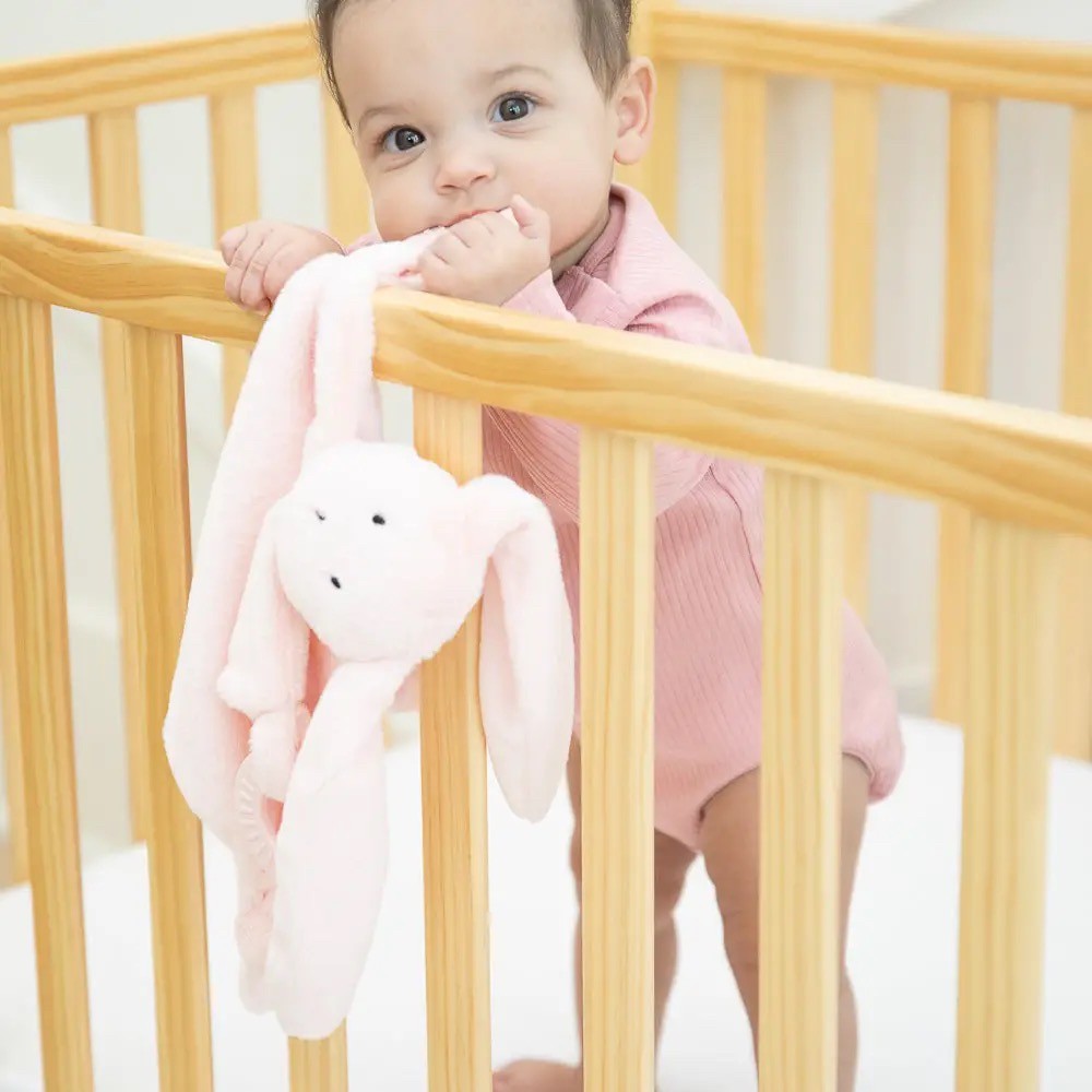 Teether Buddy Betty the Bunny|8500