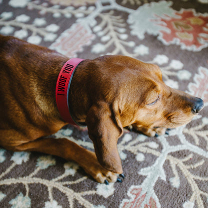 L/XL Woof - 30" PU Leather Pet Collar